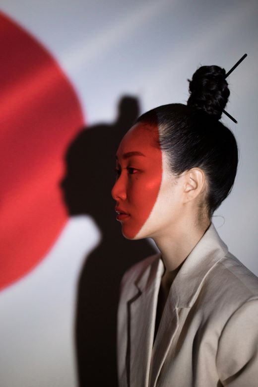 Celular do Japão Funciona no Brasil